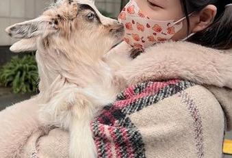 微密圈 – 更新！妮是老虎的豹纹内内写真集，看一眼就觉得没理由不点开。